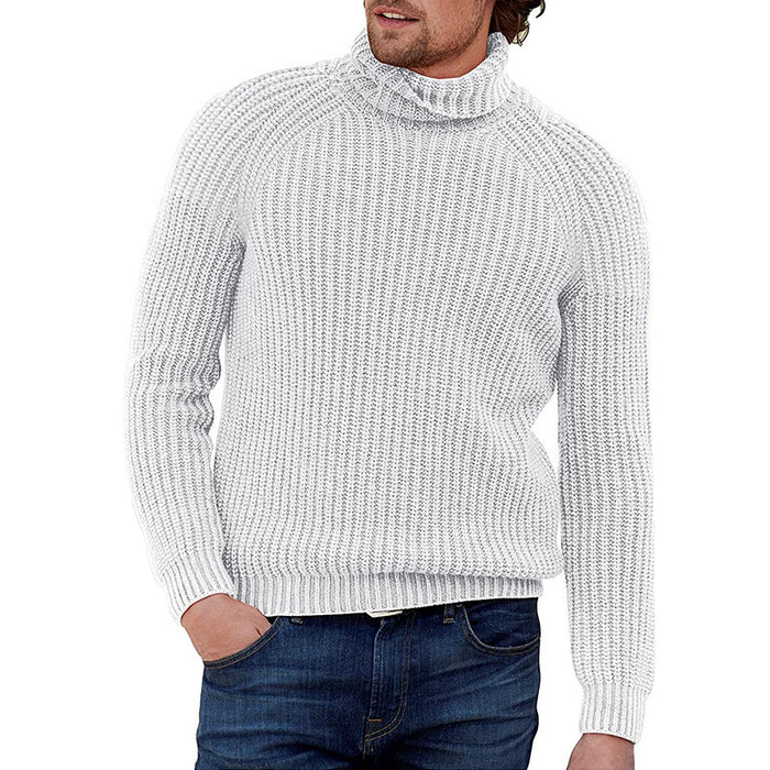 Men's Solid Color Long Sleeve Knitted Turtleneck Sweater